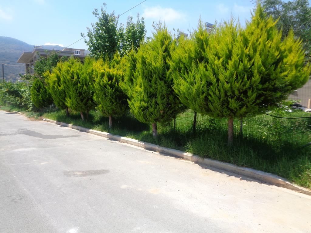 Creta Nostos Luxury Apartment Tsikalaria  Exterior photo